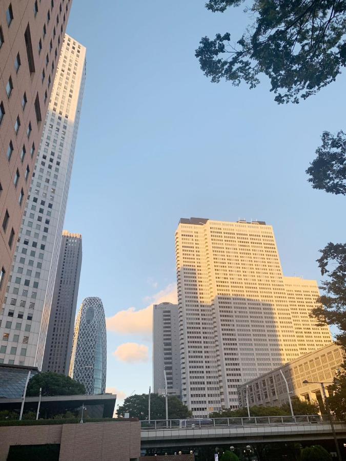 Near Shinjuku!nishi Shinjuku Gochome 6min!西新宿!地铁站步行6分!新宿徒步圈!精致公寓! 高速无限制wifi 203